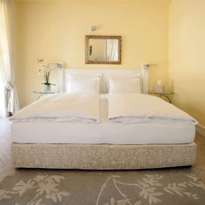 VILA MINJON – Vrnjačka Banja