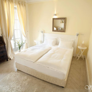 VILA MINJON – Vrnjačka Banja