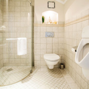 VILA MINJON – Vrnjačka Banja