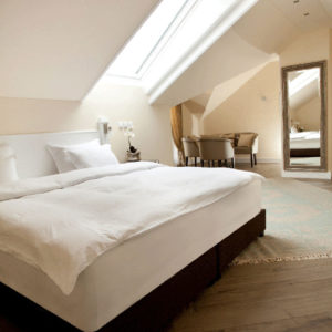 VILA MINJON – Vrnjačka Banja