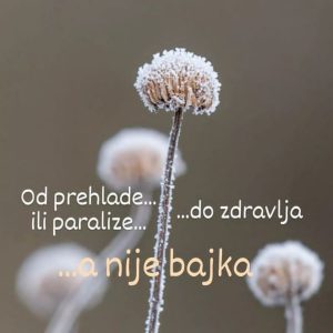 Rekonektivno isceljivanje Sremska Kamenica TATJANA MITRAŠINOVIĆ
