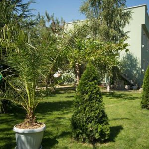 Eskulap Centar – Dom za odrasla i stara lica – Niš