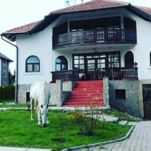 VILA FANTAZIJA – Zlatibor