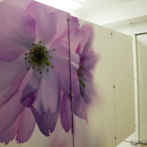 MEDEJA Kozmetički salon – Niš