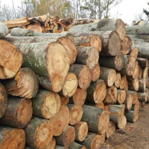 Drvara Royal – Prodaja ogrevnog drveta Subotica