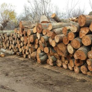 Drvara Royal – Prodaja ogrevnog drveta Subotica