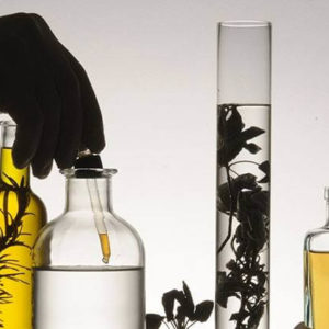 Udruženje za klasičnu Homeopatiju Boenninghausen – Beograd
