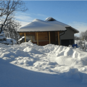 DOMAĆINSTVO ILIJE MILIĆEVIĆA – Lisa Ivanjica