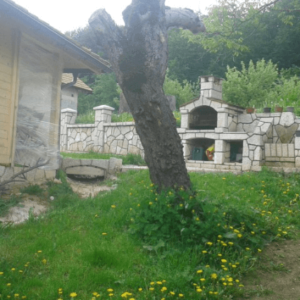 DOMAĆINSTVO ILIJE MILIĆEVIĆA – Lisa Ivanjica