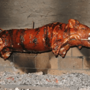 DOMAĆINSTVO ILIJE MILIĆEVIĆA – Lisa Ivanjica