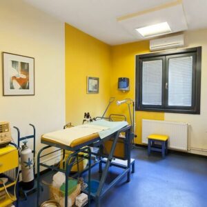 GEA ginekološka ordinacija Čačak