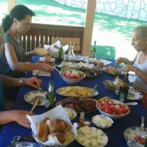 DOMAĆINSTVO ILIJE MILIĆEVIĆA – Lisa Ivanjica