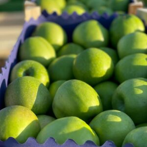 MD FRUIT hladnjača Grocka