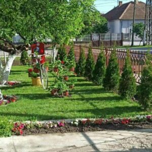 Dom za stare NANINI KONACI Zrenjanin