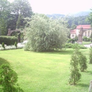 Vila Jelena – Banja Koviljača