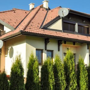 Apartman Zlatiborska Lepotica