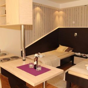 Fortress apartmani – Novi Sad
