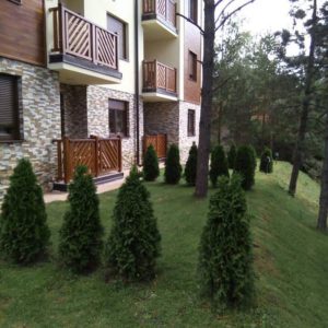 Fortress apartmani – Zlatibor