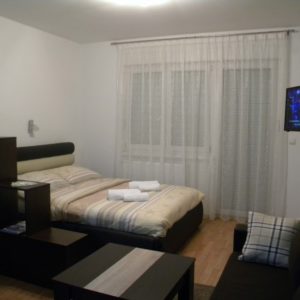 Vila Jelena – Banja Koviljača
