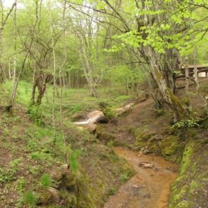 Etno krčma Dva Ambara – Djavolja Varoš