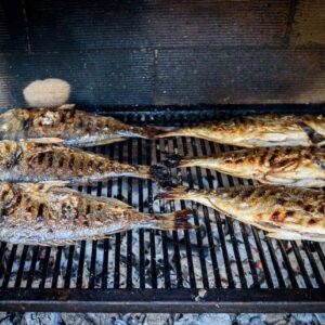 Uslužno pečenje ribe Prokuplje RIBARNICA JACA