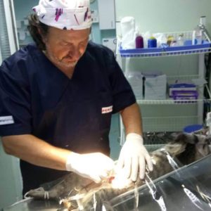 SEMPERAVET Veterinarska ambulanta Beograd