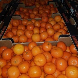 BOKI PLUS – Prevoz i prodaja robe