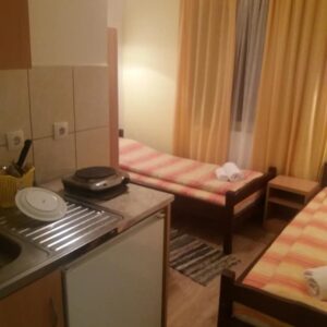 VILA ZORICA – Ribarska Banja