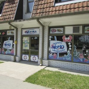 NEMO rodjendaonica – igraonica Novi Sad