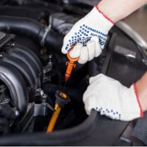 PETROMAX – AUTO SERVIS – Novi Sad