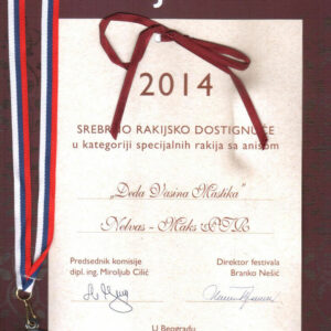 DEDA VASINA RAKIJA