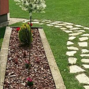 Rezanje i obrada drveta Kuršumlija – Beech Wood Company