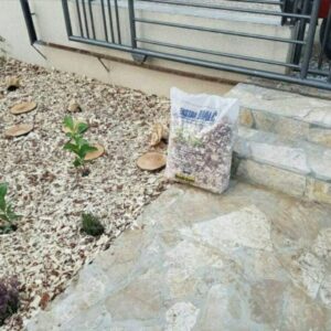 Rezanje i obrada drveta Kuršumlija – Beech Wood Company