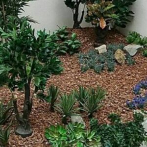 Rezanje i obrada drveta Kuršumlija – Beech Wood Company