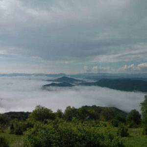 Motel GOS 2016 Novi Pazar