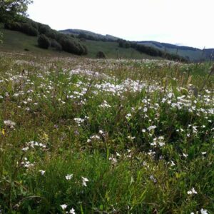 Motel GOS 2016 Novi Pazar