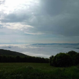 Motel GOS 2016 Novi Pazar