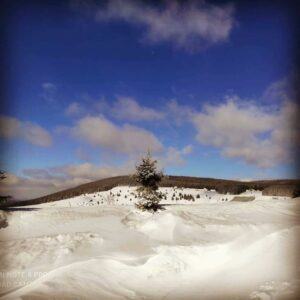 Motel GOS 2016 Novi Pazar