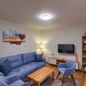 VILA BOROVA Zlatibor