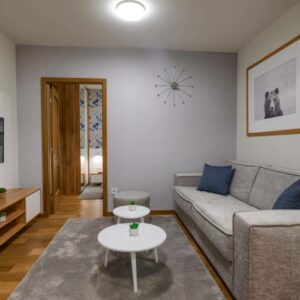 VILA BOROVA Zlatibor