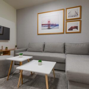 VILA BOROVA Zlatibor