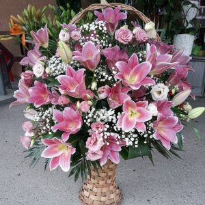 Pogrebna oprema i prevoz SUZA Ub