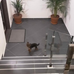 Apartments Igalo Lux – Crna Gora