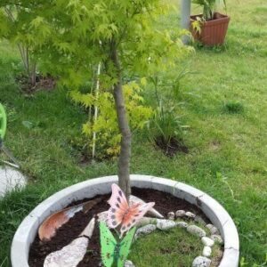 Vila El Barco – Apartmani i restoran Srebrno jezero