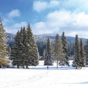 VILA DRAGULJ – Mitrovac Tara