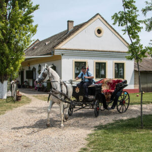 Dida Hornjakov Salaš – Sombor