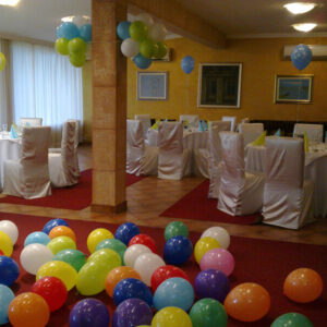 Restoran MILUTINAC Beograd Zemun