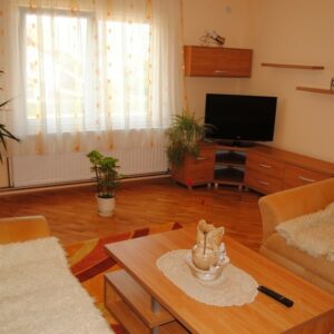 Vila Nikola i Aleksa – Vrnjačka Banja