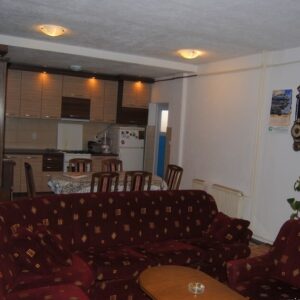 Vila Nikola i Aleksa – Vrnjačka Banja