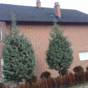 Ciglana Moša Guberevac (Leskovac)